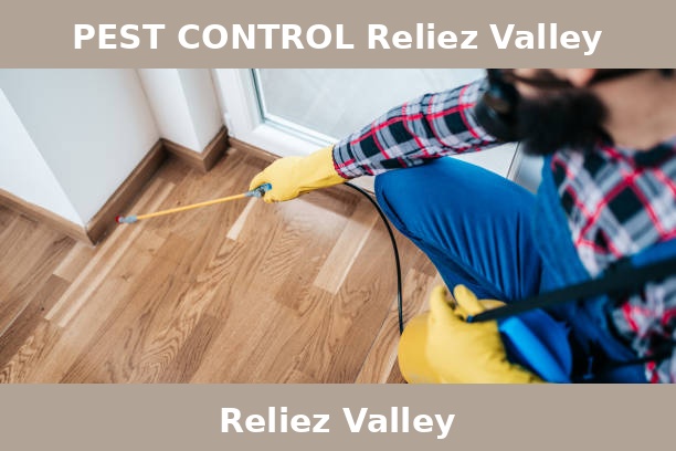 PEST CONTROL Reliez Valley